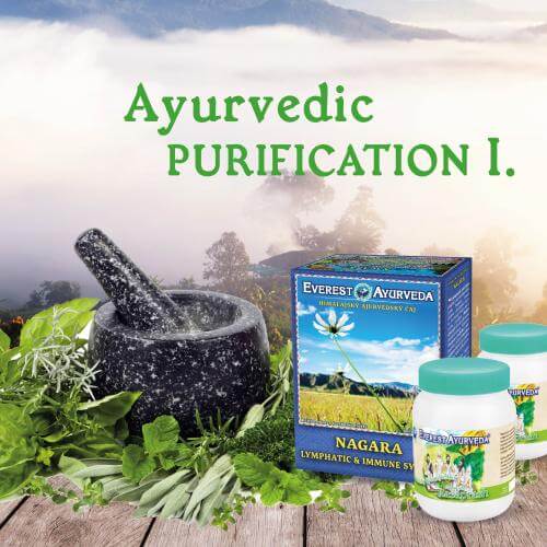 Purification ayurvédique